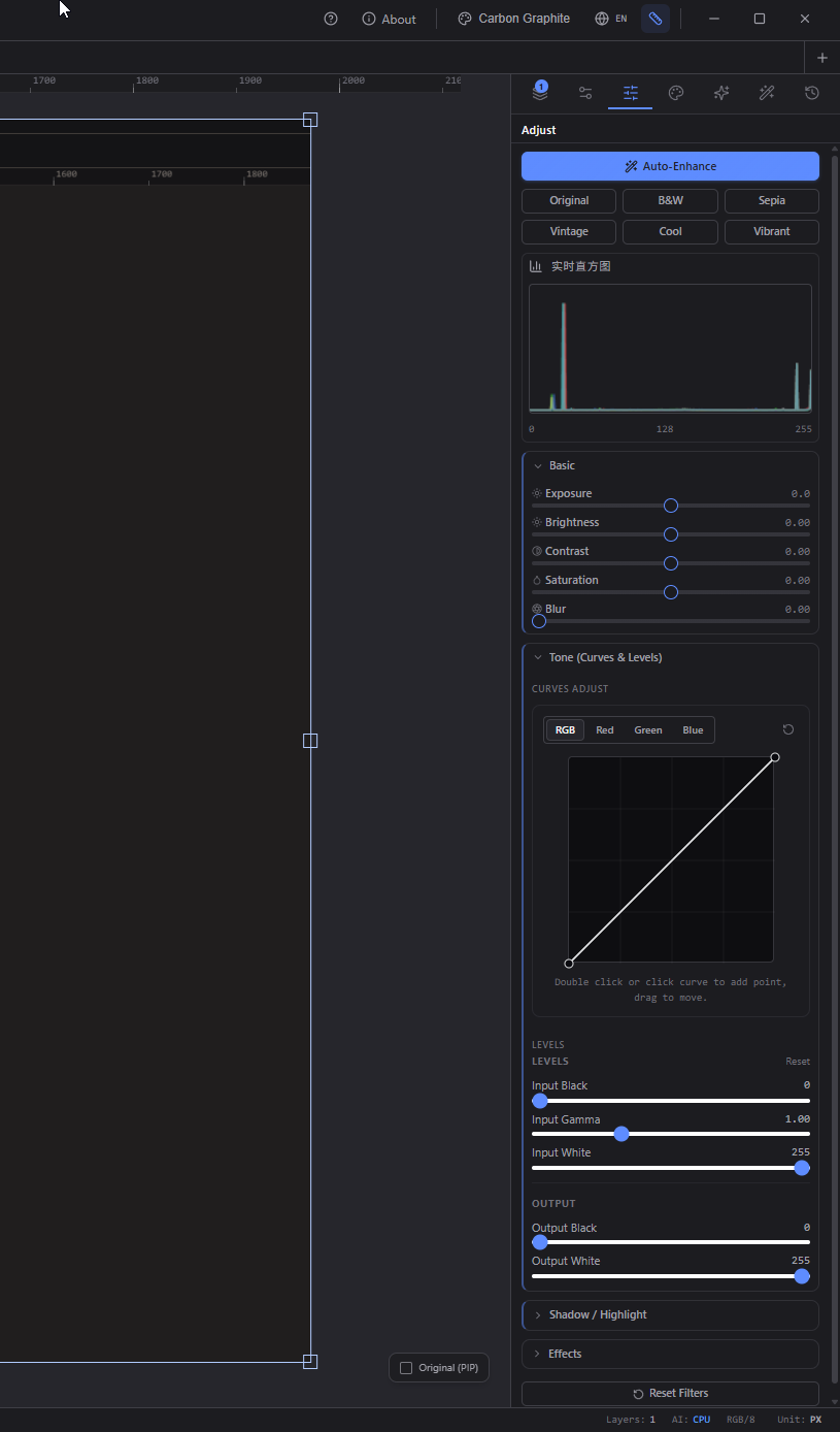 Adjust panel with histogram, curves, and levels